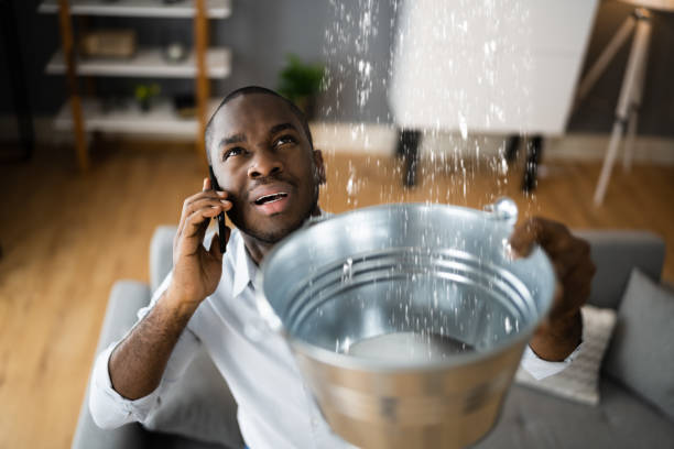 Best Water damage restoration near me  in Penngrove, CA