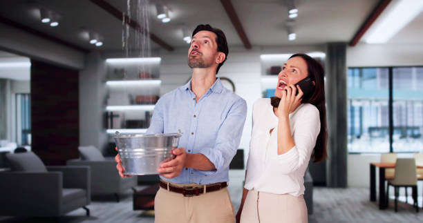 Best Professional water damage repair  in Penngrove, CA