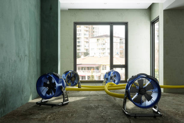 Best Basement water damage restoration  in Penngrove, CA